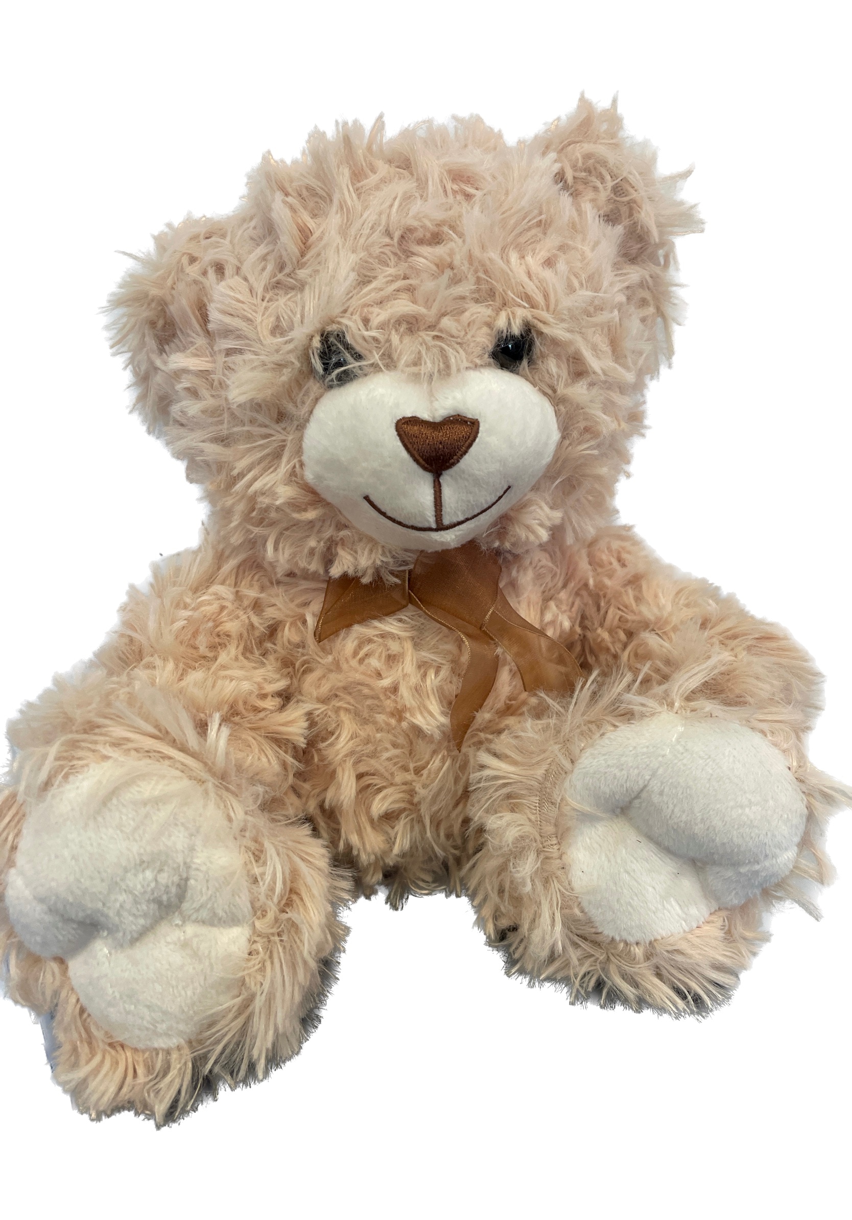 Fluffy beige bear